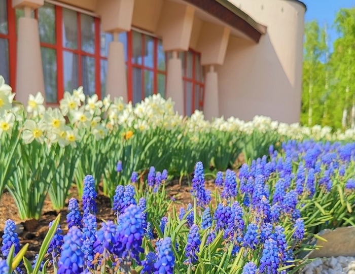 Санаторий «Геокурорт Янган-Тау»