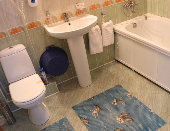 Коттедж 1-местный семейный (коттедж №5) - Санаторий «Геокурорт Янган-Тау»