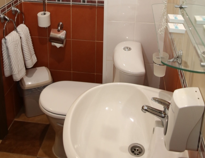 Номер 2-местный (корпус 1) - Санаторий «Геокурорт Янган-Тау»